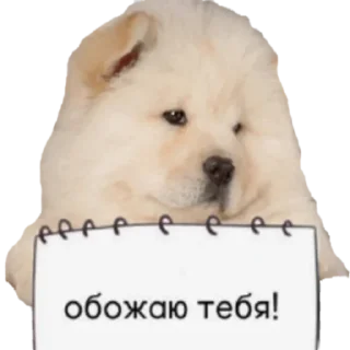 🥰