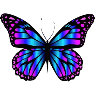 🦋