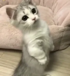 😚
