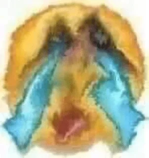😭