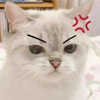 😠