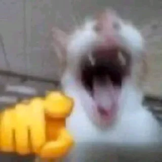 🫵