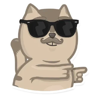 😎