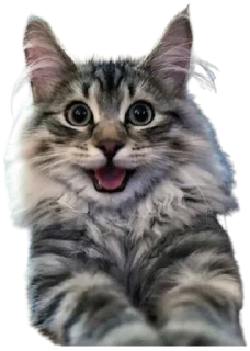 😀