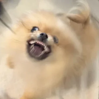 🤠