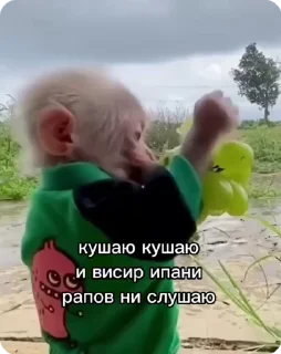 🍇