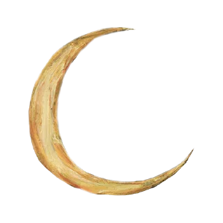 🌙