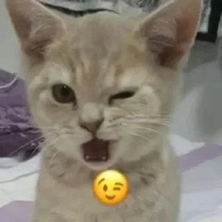 😉