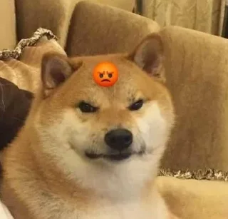 😡