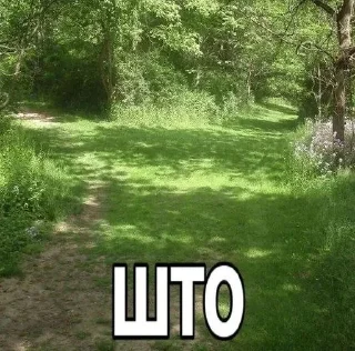 🧂