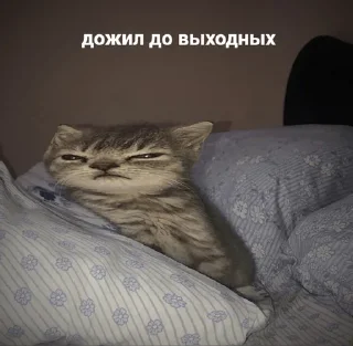 😁