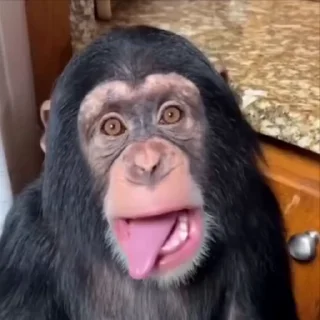 😛
