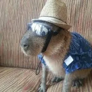 😎
