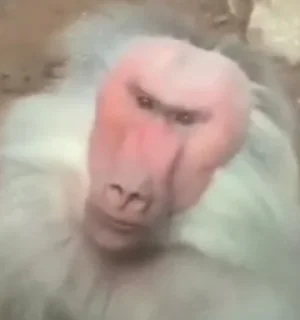 😠