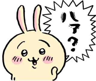 🐰