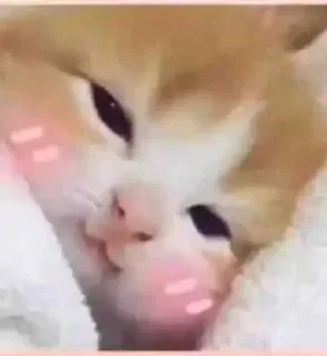 ☺️
