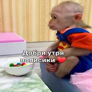 🐵