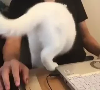 🤗