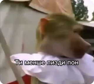 🚫
