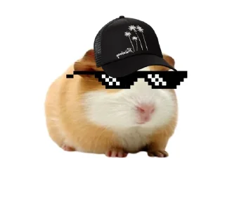 🐹