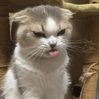😑