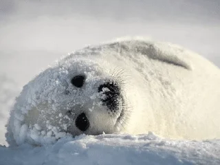 🙂