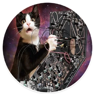 Space Cats @stickersb2b