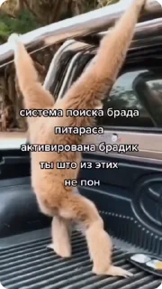 🚨