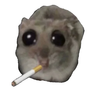 🚬