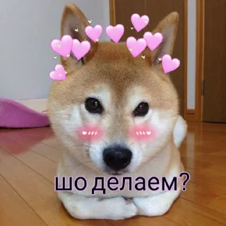 🌚