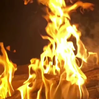 🌟