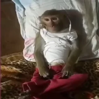 😔