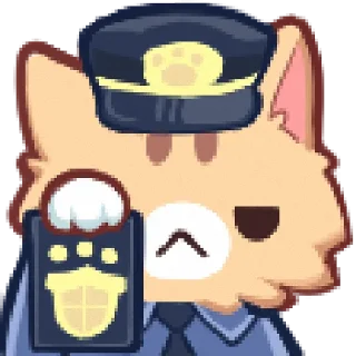 👮‍♂️