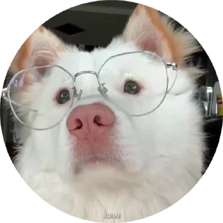 🧐
