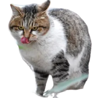 😜