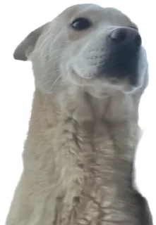 😃