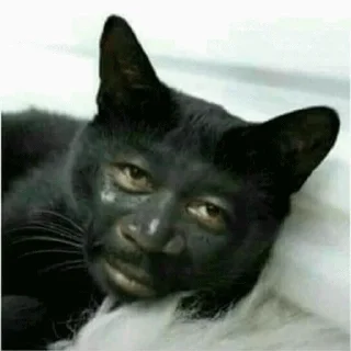 🌚