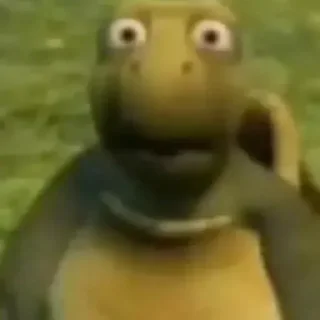 😳