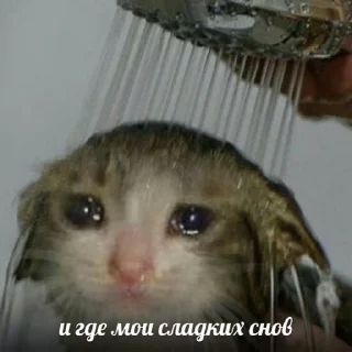 😭
