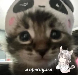 🥱