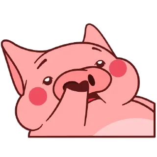 🐽