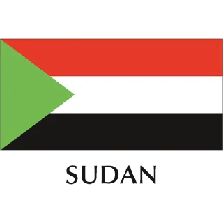 🇸🇩