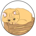 📦