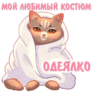 🧣