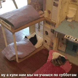 😺