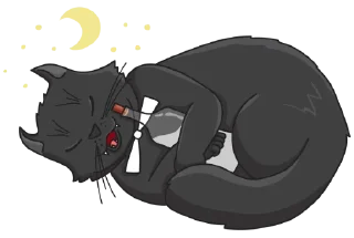 😴