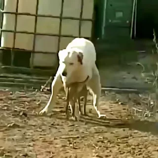 😂