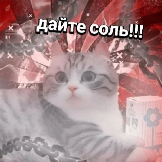 🧂