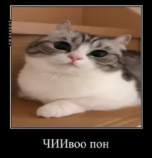😨