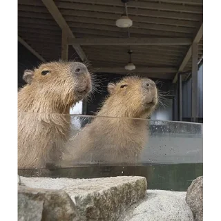 😌